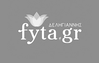 Προσφορά fyta.gr